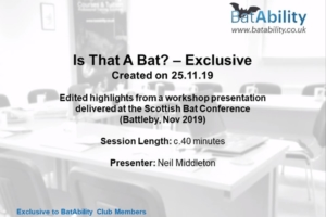 Is That A Bat? – BCT Workshop