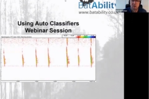 Using Automated Classifiers (Bats)