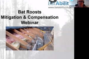 Mitigation & Compensation