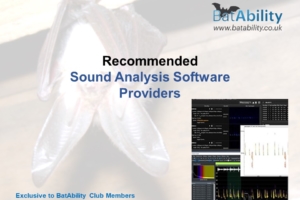 Sound Analysis Software Providers
