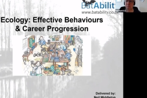 Effective Behaviours
