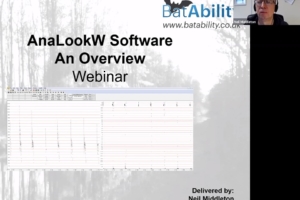 AnaLookW Software – Level 1