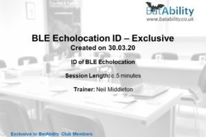 Brown long-eared – Echolocation Identification