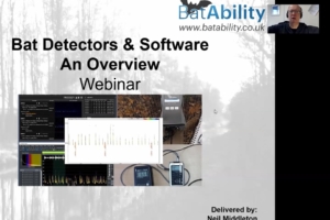 Bat Detector Systems & Software – An Overview