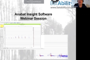 Anabat Insight Software – Level 1