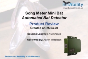 Song Meter Mini Bat Detector