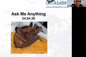 Ask Me Anything – APR 2020