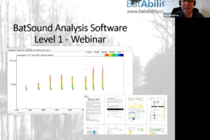 BatSound Software – Level 1