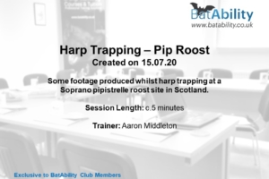 Harp Trapping – Soprano pipistrelle Roost