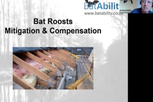 Mitigation & Compensation