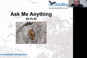 Ask Me Anything – OCT 2020