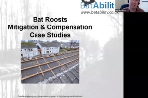 Mitigation & Compensation – Case Studies