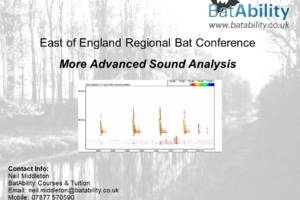 More Advanced Sound Analysis (Oct 2020)