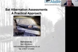 Bat Hibernation Assessments – Practical Guidance (Non-Classic Sites)