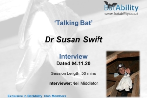 ‘Talking Bat’ – Dr Susan Swift