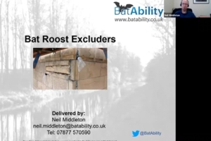 Working With Bat Excluders