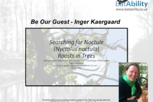 ‘Be Our Guest’ – Inger Kaergaard – Noctule Tree Roosts