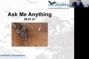 Ask Me Anything – JAN 2021