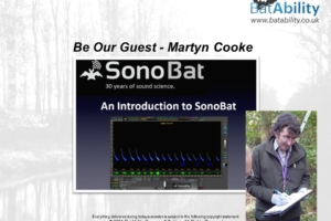 ‘Be Our Guest’ – Martyn Cooke – An Introduction to SonoBat