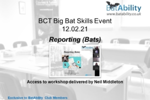 Reporting (Bats)