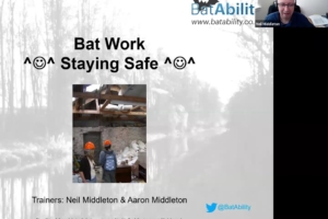 Bat Work – Staying Safe