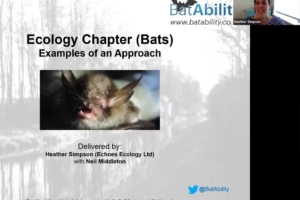Ecology Chapters (Bats) – Examples of Approach