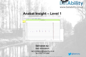 Anabat Insight Software – Level 1