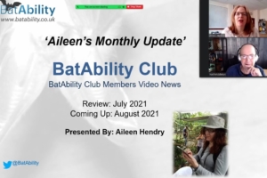 Aileen’s Monthly Newsletter – 30 July 2021