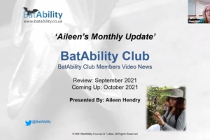 Aileen’s Monthly Newsletter – 30 September 2021
