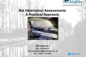 Bat Hibernation Assessments – Practical Guidance (Non-Classic Sites)