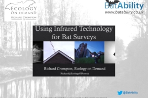 Infrared for Bat Surveys