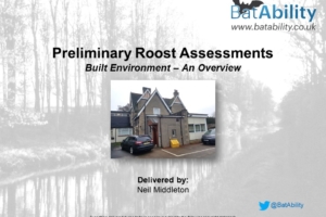 Preliminary Roost Assessments (PRA) – Built Environment
