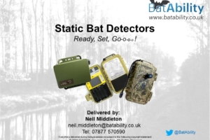 Static Bat Detectors – Setting Up