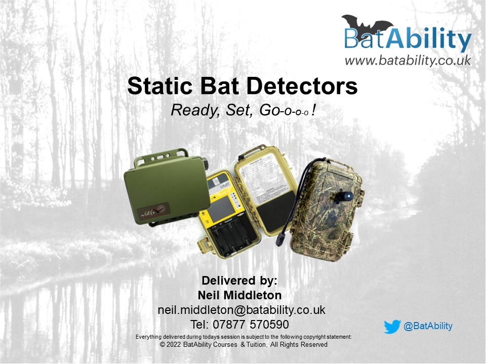 Static Bat Detectors – Setting Up