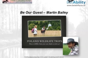 ‘Be Our Guest’ – Martin Bailey – Wildlife of Poland