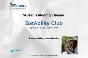 Aileen’s Monthly Newsletter – May 2022
