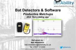 Bat Detectors & Software – Productive Matchups