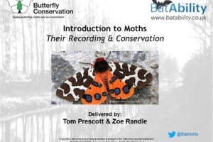 Moths – Their Recording & Conservation