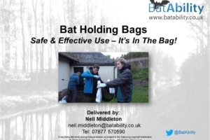 Bat Holding Bags – Safe & Effective Use