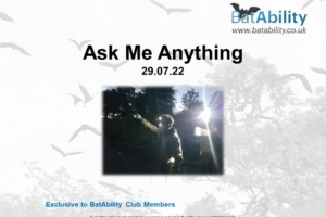 Ask Me Anything – JULY 2022