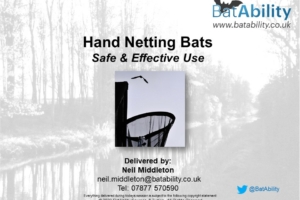 Hand Netting Bats – Safe & Effective Use