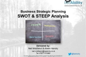 Business Strategy – SWOT & STEEP Analysis