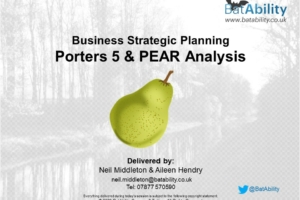 Business Strategy – Porters 5 Forces & PEAR Analysis