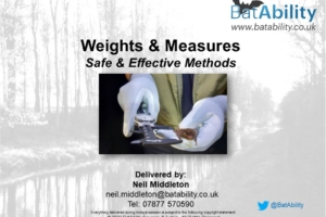 Bat Weights & Measures – Safe & Effective Methods