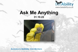 Ask Me Anything – OCT 2022