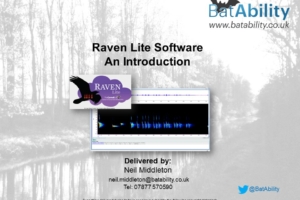 Raven Lite Software – An Introduction