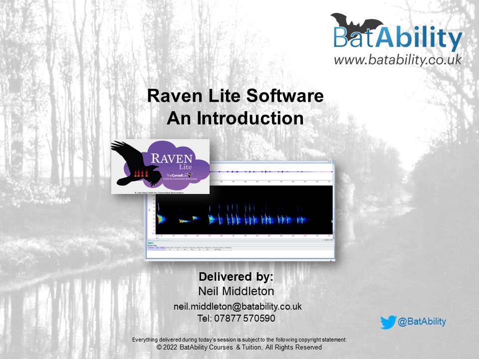 Raven Lite Software – An Introduction