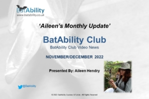 Aileen’s Monthly Newsletter – Nov/Dec 2022