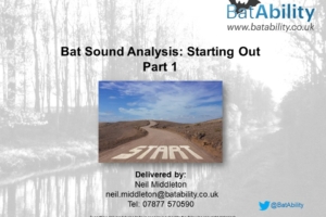 Bat Sound Analysis – Getting Started – Part 1 of 2
