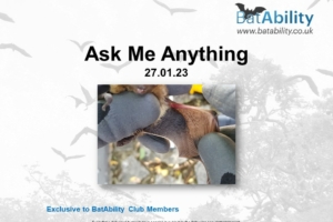 Ask Me Anything – JAN 2023